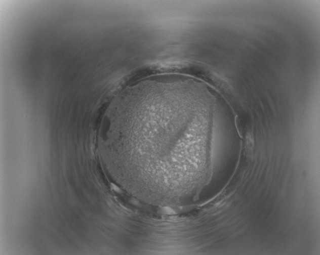 X0000066971300200604072020