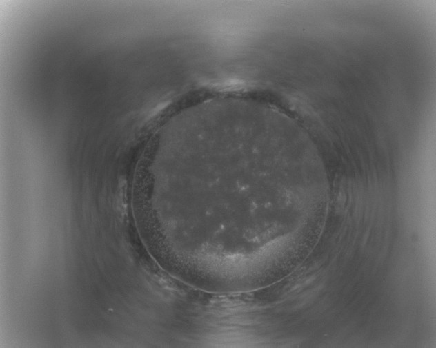 X0000066971301200604072020