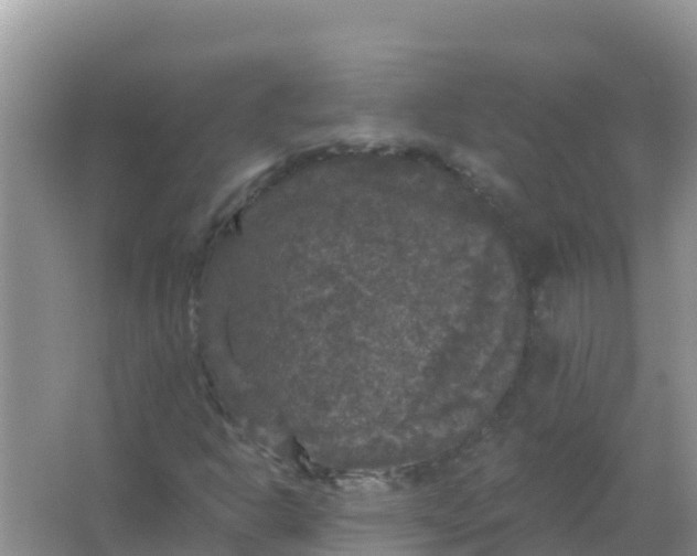 X0000066971302200604072020