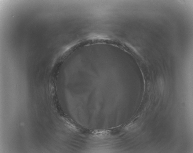 X0000066971303200604072020