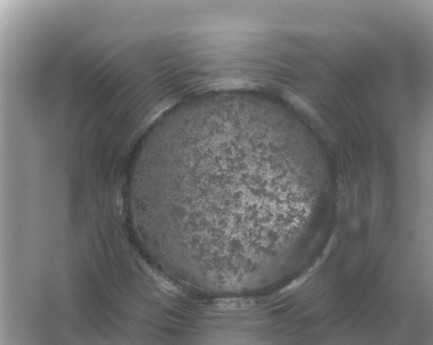 X0000066971305200604072020