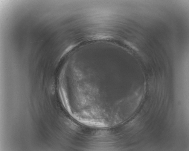 X0000066971306200604072020