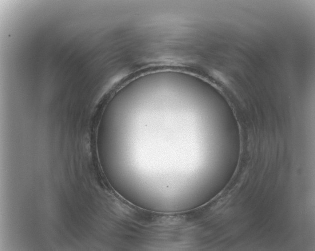 X0000066971307200604072020