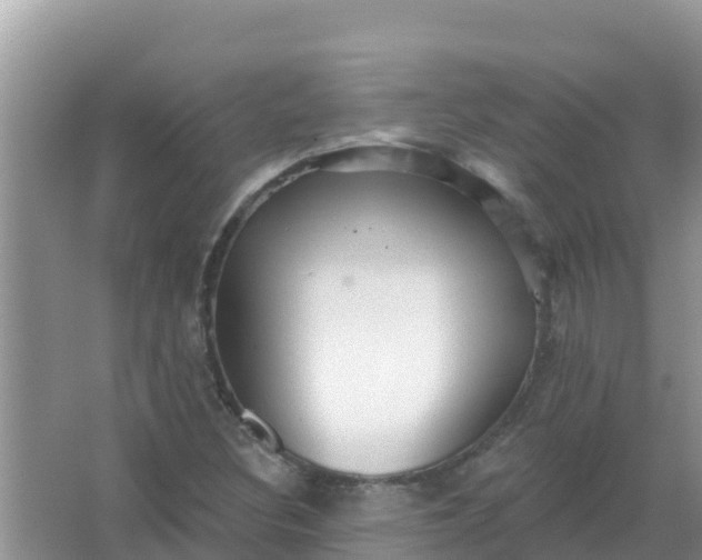 X0000066971308200604072020