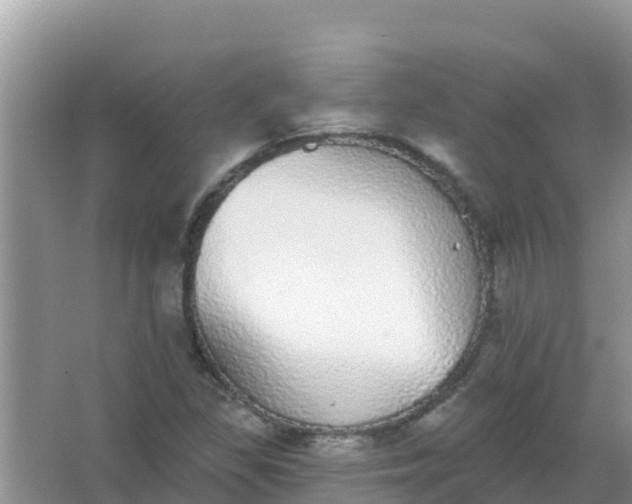 X0000066971309200604072020