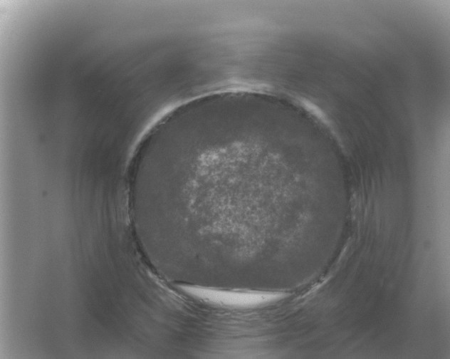 X0000066971310200604072020