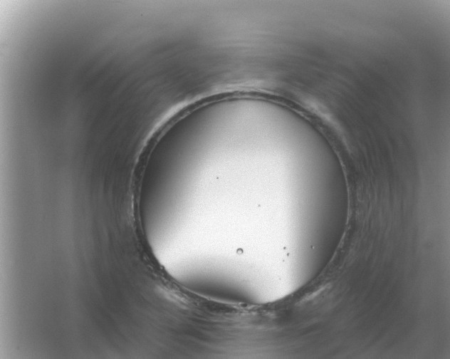 X0000066971316200604072020