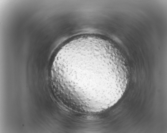 X0000066971318200604072020