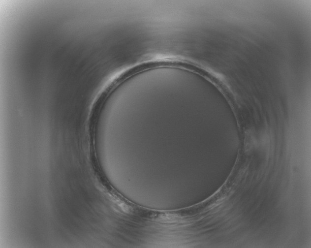 X0000066971319200604072020