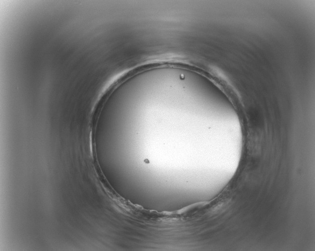 X0000066971320200604072020