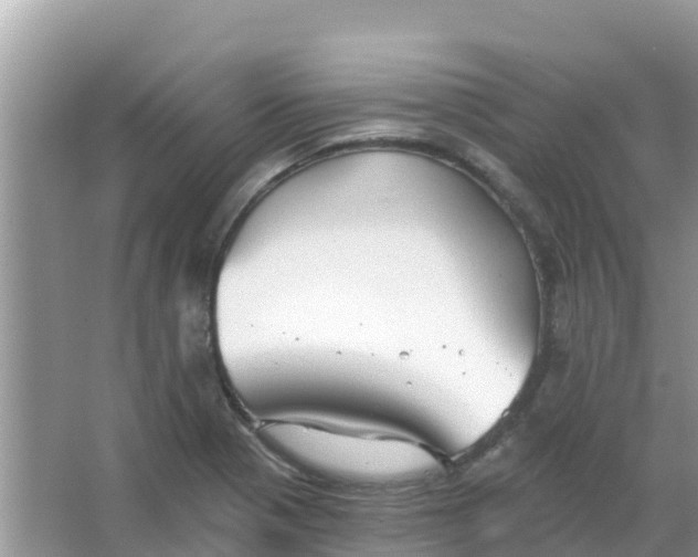 X0000066971321200604072020