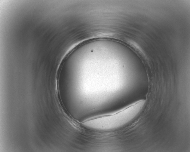 X0000066971324200604072020