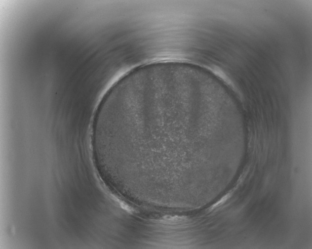 X0000066971325200604072020