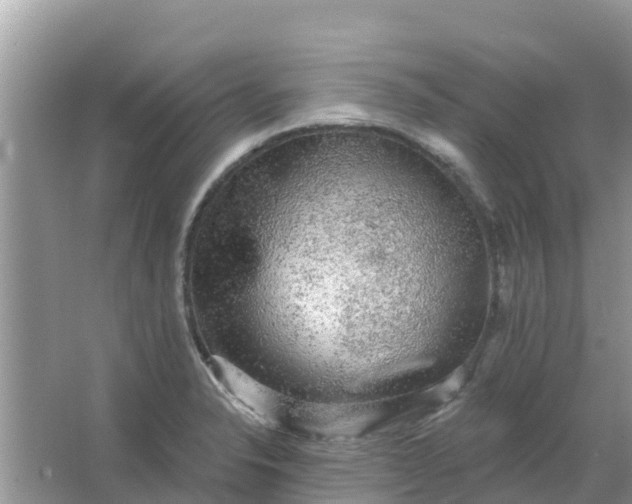 X0000066971326200604072020