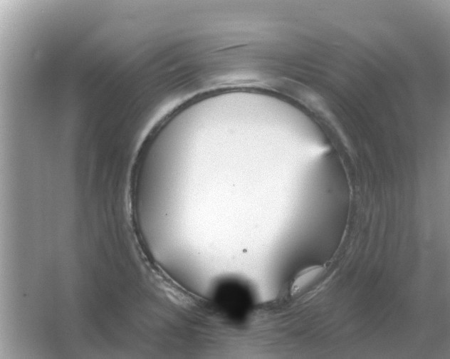 X0000066971328200604072020