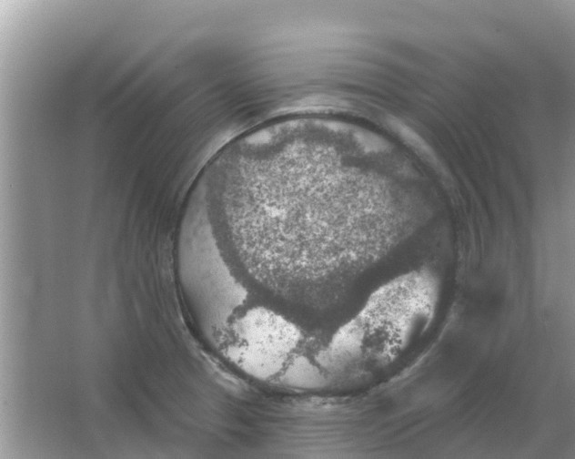 X0000066971329200604072020