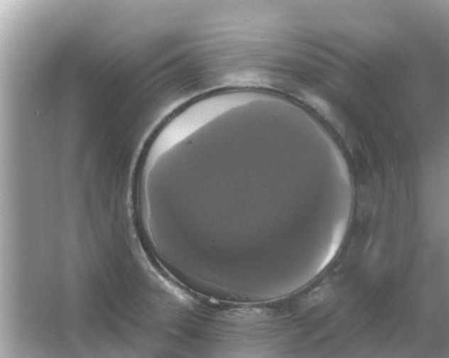 X0000066971331200604072020