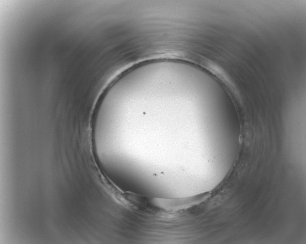 X0000066971332200604072020