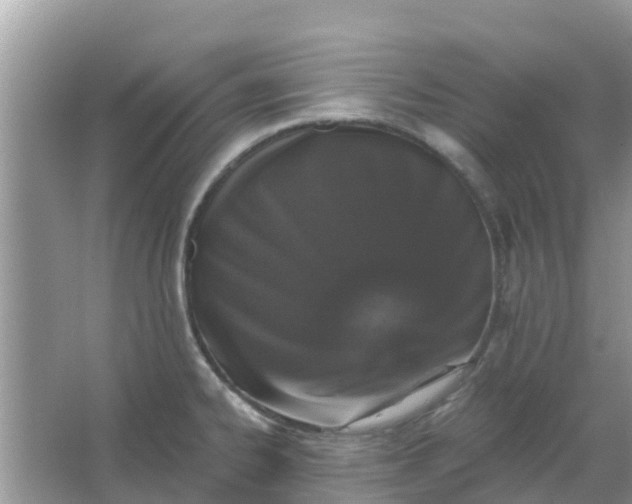 X0000066971334200604072020