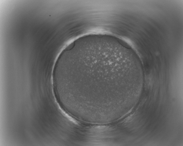 X0000066971335200604072020