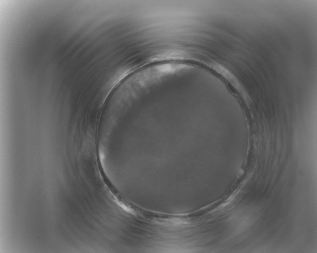 X0000066971337200604072020