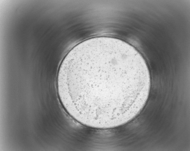 X0000066971338200604072020