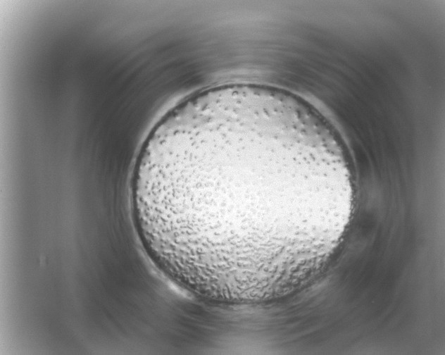 X0000066971341200604072020