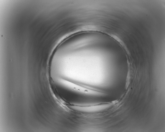 X0000066971342200604072020