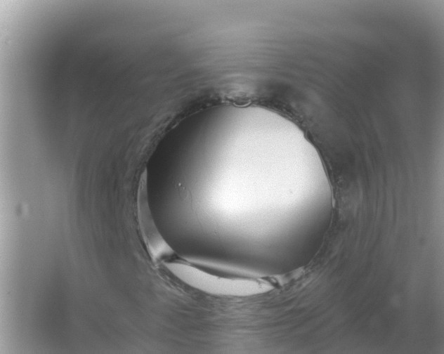 X0000066971345200604072020