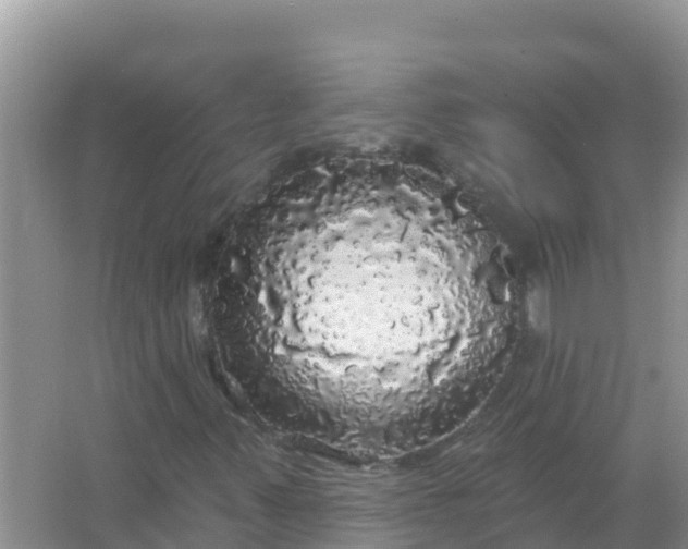 X0000066971347200604072020