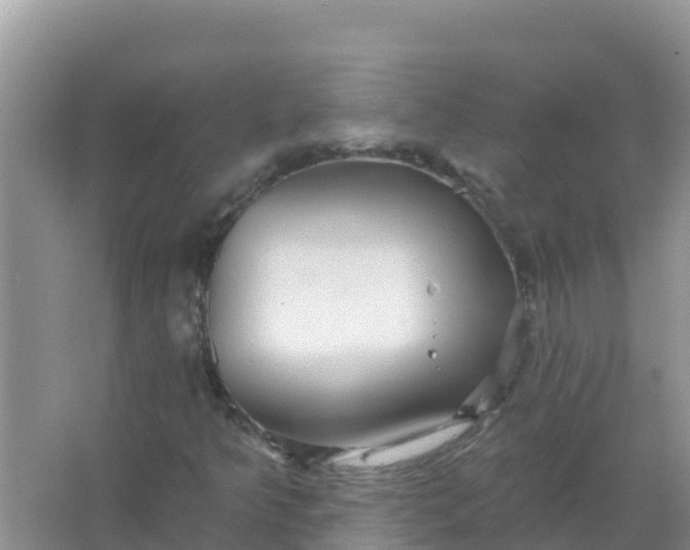 X0000066971349200604072019