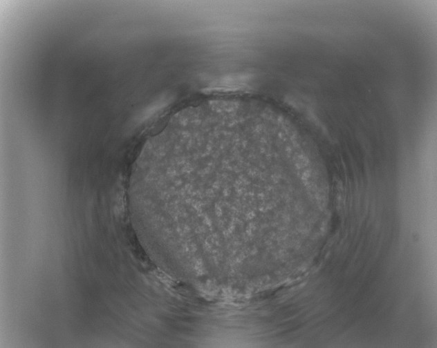 X0000066971350200604072019