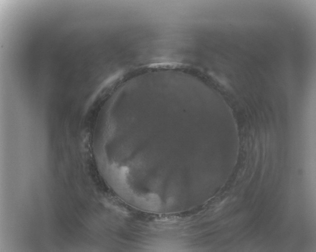 X0000066971351200604072019