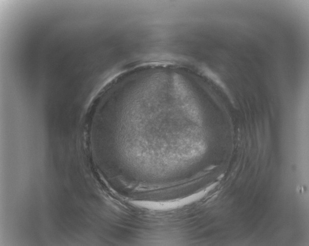 X0000066971352200604072019