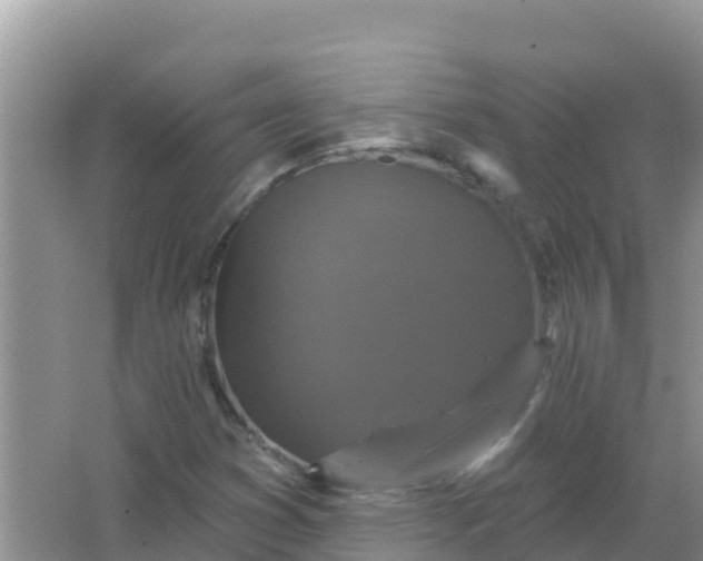 X0000066971353200604072019