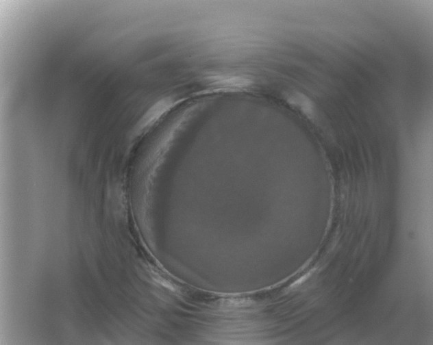 X0000066971354200604072019