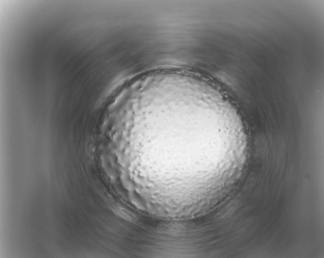 X0000066971355200604072019