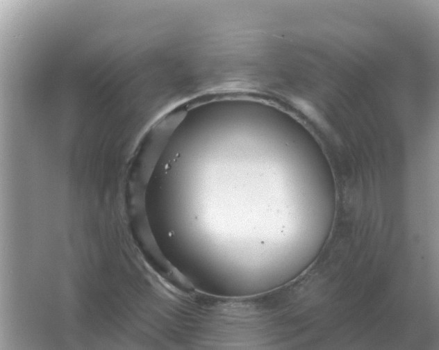 X0000066971356200604072019