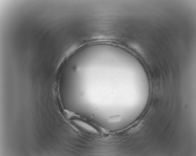 X0000066971357200604072019