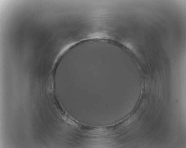 X0000066971358200604072019