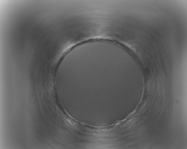 X0000066971359200604072019