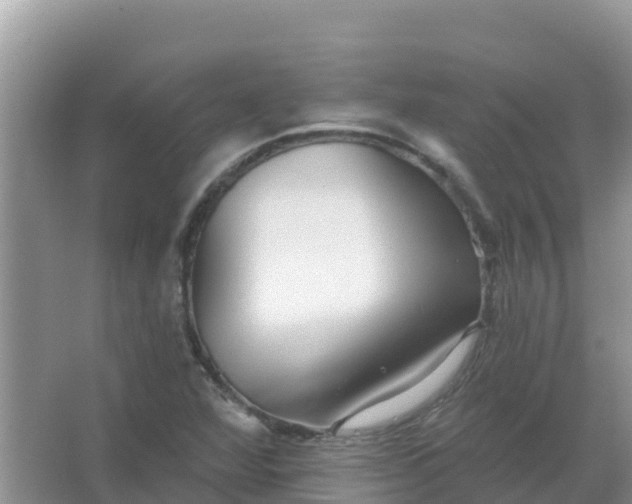 X0000066971360200604072019