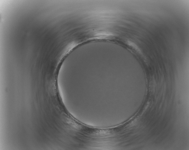 X0000066971362200604072019