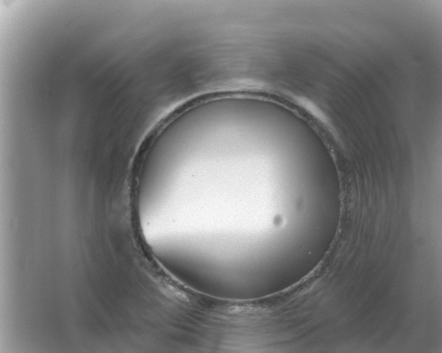 X0000066971364200604072019