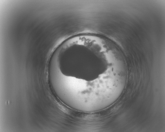 X0000066971367200604072019