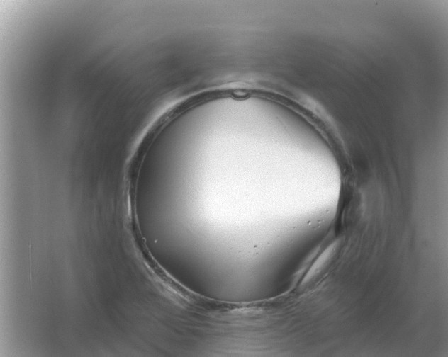 X0000066971368200604072019