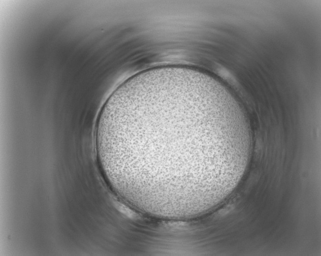 X0000066971370200604072019