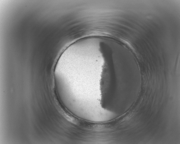 X0000066971371200604072019