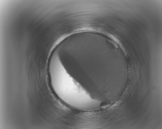 X0000066971373200604072019