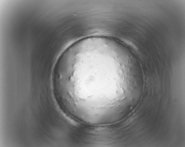 X0000066971375200604072019